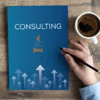 Need top-tier Java consulting for web development, e-commerce, SEO, or more? Discover how Associative's expertise can transform your digital solutions