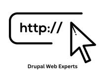 Drupal Web Experts Near You in Pune, India