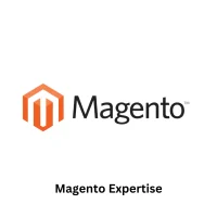Magento Web Development Agency Expertise