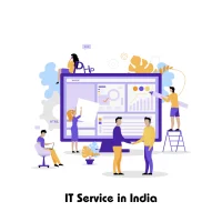 IT Service in India