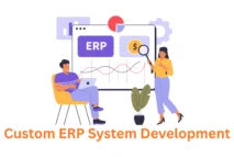 custom erp system development