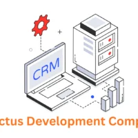 Your Trusted Directus Development Company in Pune, India