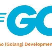 Go (Golang) Development Company | Associative - Pune, India
