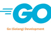 Go (Golang) Development Company | Associative - Pune, India