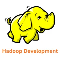 Associative: Your Trusted Hadoop Development Company in Pune, India