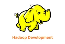 Associative: Your Trusted Hadoop Development Company in Pune, India