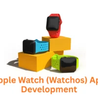 Apple Watch (watchOS) App Development Company: Innovation on Your Wrist