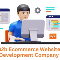 Leading B2B Ecommerce Website Development Company: Associative