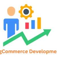 Expert BigCommerce Development Company | Associative