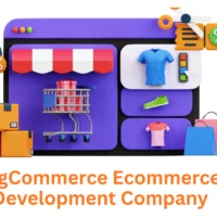 BigCommerce Ecommerce Development Company | Associative