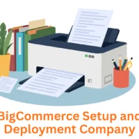 Expert BigCommerce Setup and Deployment Company: Associative