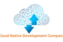 Expert Cloud-Native Development Company in Pune, India