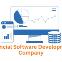 Financial Software Development Company: Transforming Vision into Digital Reality