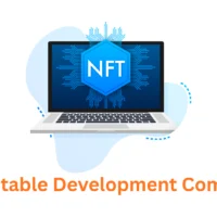 Your Trusted Immutable Development Company | Associative