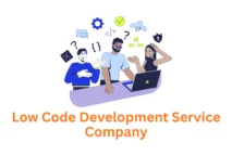 Professional Low-Code Development Service | Associative
