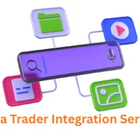 Expert Ninja Trader Integration Service by Associative