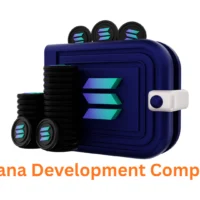 Expert Solana Development Company in Pune, India | Associative