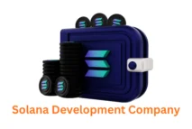 Expert Solana Development Company in Pune, India | Associative