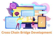 Cross-Chain Bridge Development Company