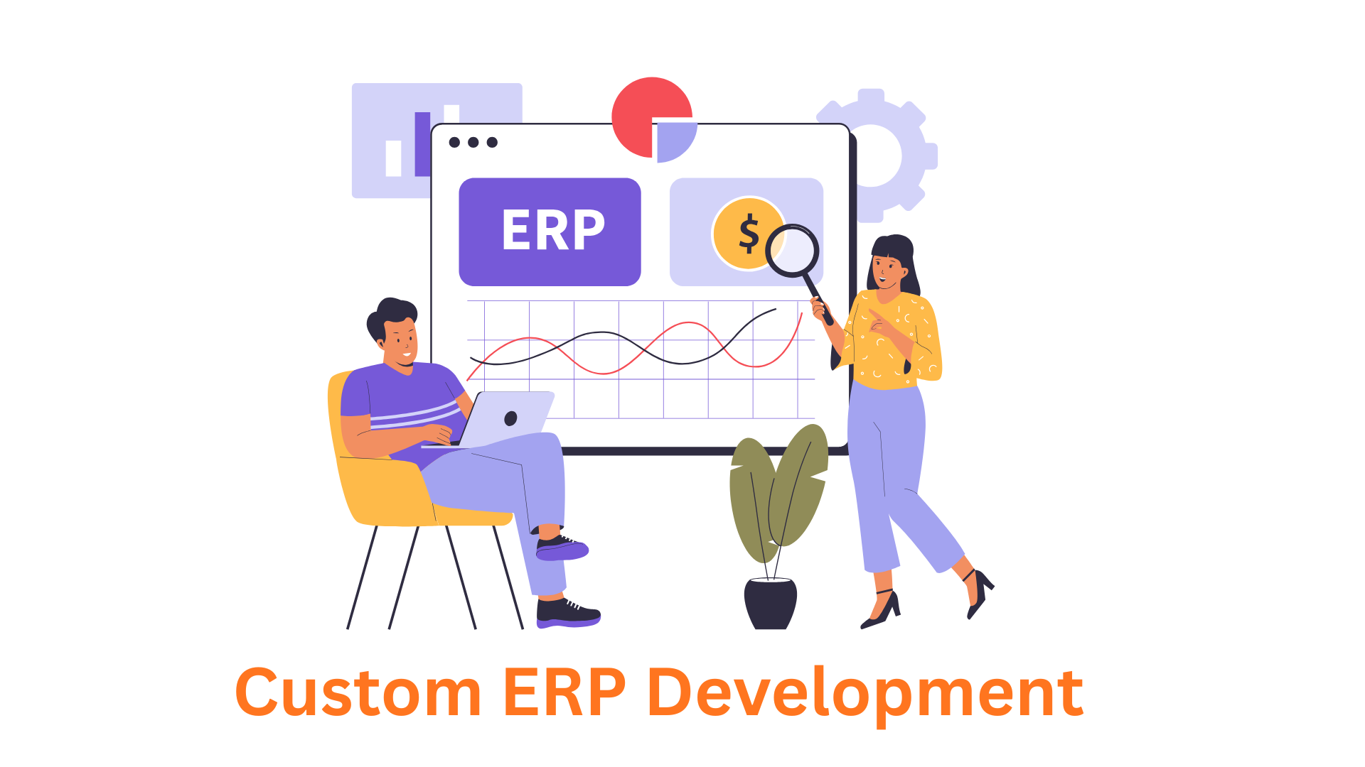 Custom ERP Development Company
