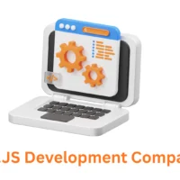 Expert D3.js Development Company in Pune, India - Associative