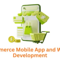 Partnering with the Right E-commerce Mobile App and Website Development Company