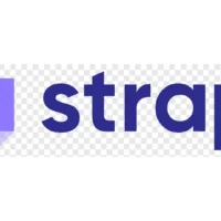Strapi Developer (Fresher) - Full-Time, Onsite in Pune | Associative