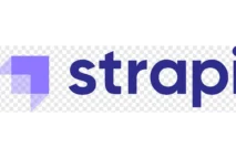 Strapi Developer (Fresher) - Full-Time, Onsite in Pune | Associative