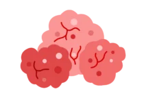 Top Large Language Models Development Company | Associative