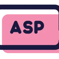 Expert ASP.NET Development Services in Pune | Associative