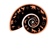 Expert Astrology Website Development Company in Pune | Associative