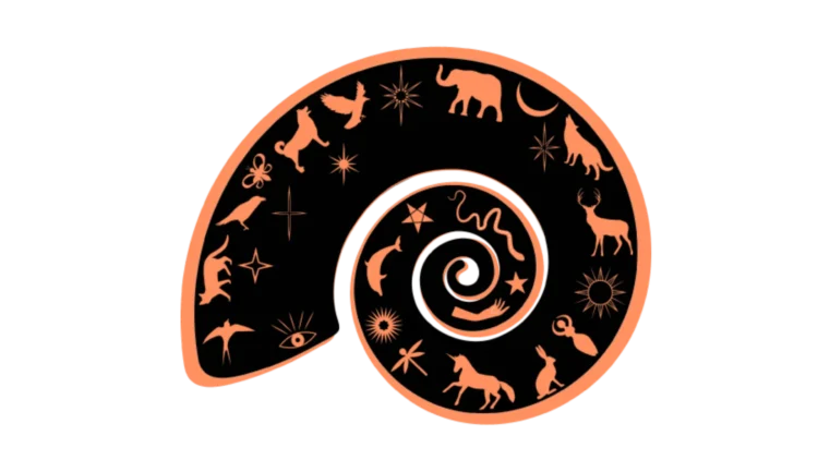 Expert Astrology Website Development Company in Pune | Associative