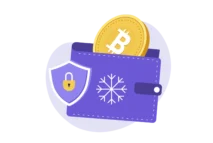 Secure Blockchain Wallet Development Services in Pune | Associative