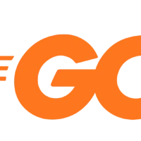 Expert White Label Go (Golang) Development Services | Associative